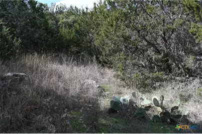 979 & 987 Deer Valley Pass, Spring Branch, TX 78070 - Photo 15