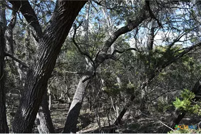 979 & 987 Deer Valley Pass, Spring Branch, TX 78070 - Photo 5