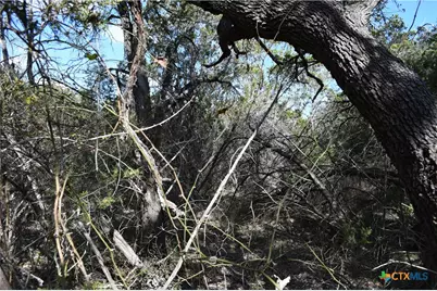 979 & 987 Deer Valley Pass, Spring Branch, TX 78070 - Photo 7