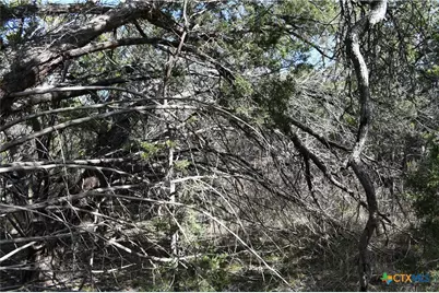 979 & 987 Deer Valley Pass, Spring Branch, TX 78070 - Photo 5