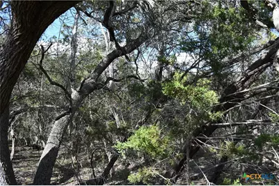 979 & 987 Deer Valley Pass, Spring Branch, TX 78070 - Photo 3