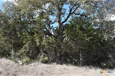 979 & 987 Deer Valley Pass, Spring Branch, TX 78070 - Photo 3