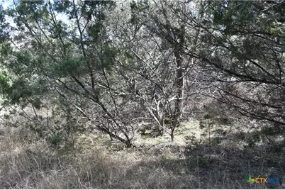 979 & 987 Deer Valley Pass, Spring Branch, TX 78070 - Photo 13
