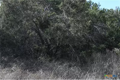 979 & 987 Deer Valley Pass, Spring Branch, TX 78070 - Photo 17