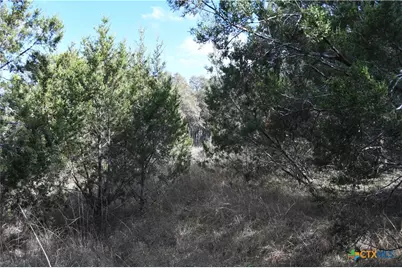 979 & 987 Deer Valley Pass, Spring Branch, TX 78070 - Photo 11