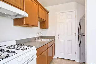 332 Trestle Tree, San Marcos, TX 78666 - Photo 5