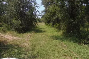 90 Romberg Rd, Dale, TX 78616 - Photo 7