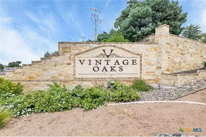1424 Decanter Drive, New Braunfels, TX 78132 - Photo 35