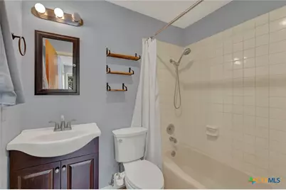 1133 Baldy Mountain Court, Canyon Lake, TX 78133 - Photo 19
