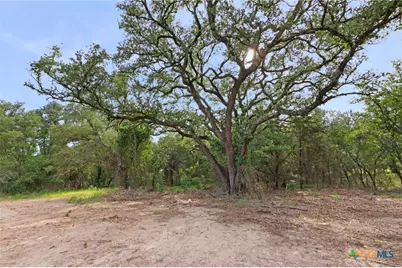 12200 Private Road 3641, Kempner, TX 76539 - Photo 7