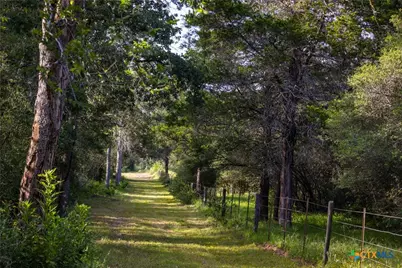 10488 Hwy 304, Harwood, TX 78629 - Photo 13