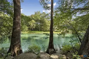 1121 Bradstreet, Canyon Lake, TX 78133 - Photo 3