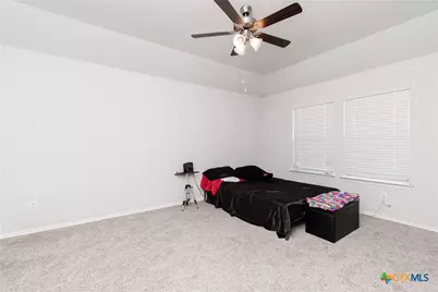 2342 Bee Creek Drive, Copperas Cove, TX 76522 - Photo 17