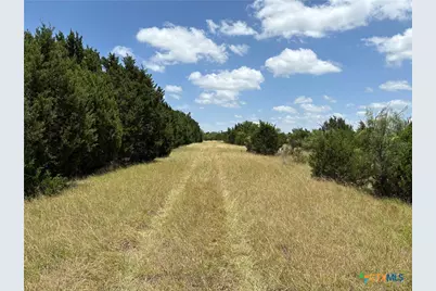 0 County Road 303, Bertram, TX 78605 - Photo 5