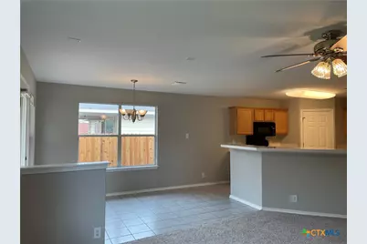 217 Roadrunner Avenue, New Braunfels, TX 78130 - Photo 7