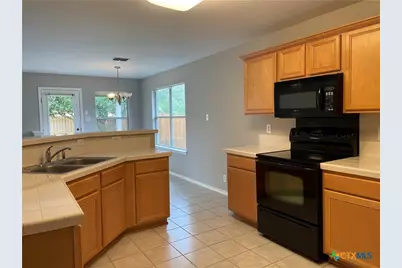 217 Roadrunner Avenue, New Braunfels, TX 78130 - Photo 15