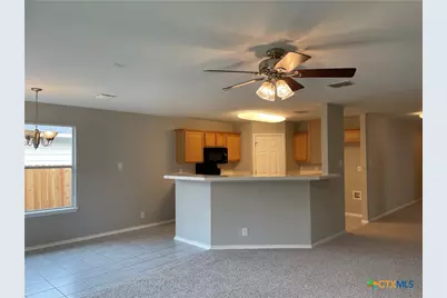 217 Roadrunner Avenue, New Braunfels, TX 78130 - Photo 9