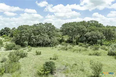 596 Hallemann Road, Goliad, TX 77963 - Photo 15