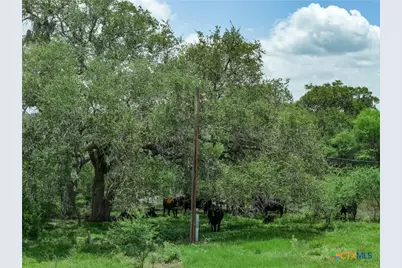 596 Hallemann Road, Goliad, TX 77963 - Photo 27