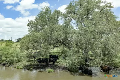 596 Hallemann Road, Goliad, TX 77963 - Photo 25
