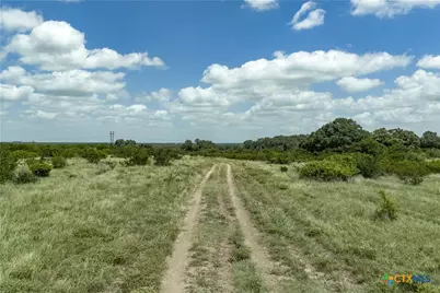 596 Hallemann Road, Goliad, TX 77963 - Photo 13