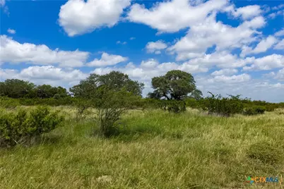 596 Hallemann Road, Goliad, TX 77963 - Photo 37
