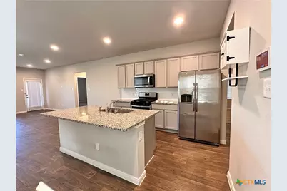 304 Fall Aster Drive, Kyle, TX 78640 - Photo 3