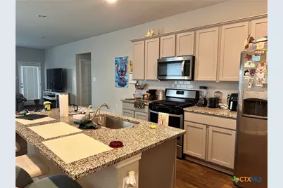 304 Fall Aster Drive, Kyle, TX 78640 - Photo 3