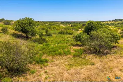 1854 County Road 104, Buckholts, TX 76518 - Photo 9