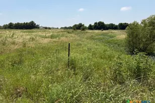 880 County Road 311 Rd, Jarrell, TX 76537 - Photo 21