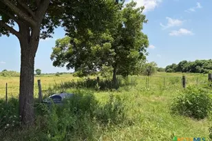 880 County Road 311 Rd, Jarrell, TX 76537 - Photo 19