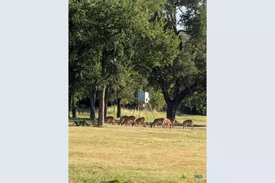 13260 Estate Trail, Belton, TX 76513 - Photo 33