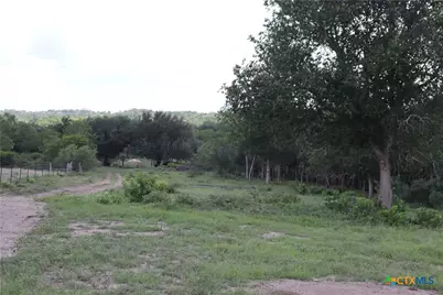 1220 Brushy Branch Road, Lockhart, TX 78644 - Photo 9