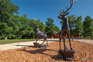 13510 Private Rd 3642, Kempner, TX 76539 - Photo 5