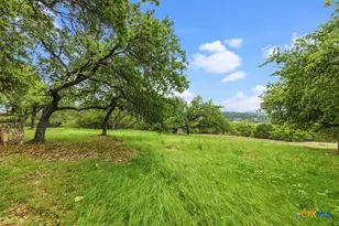 8017 Kenilworth Blvd, Spring Branch, TX 78070 - Photo 31