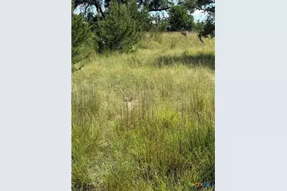 137 W Pat Dolan, Blanco, TX 78606 - Photo 3