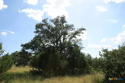 137 W Pat Dolan, Blanco, TX 78606 - Photo 15