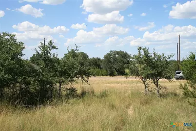 137 W Pat Dolan, Blanco, TX 78606 - Photo 13