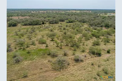0 Green-Dewitt Road, Cuero, TX 77954 - Photo 7