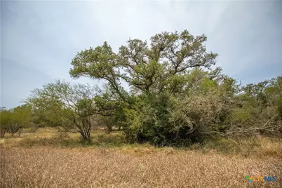0 Green-Dewitt Road, Cuero, TX 77954 - Photo 19