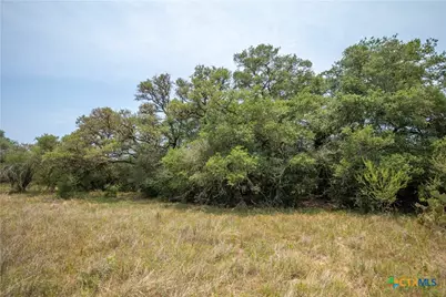 0 Green-Dewitt Road, Cuero, TX 77954 - Photo 25
