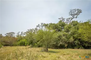 0 Green Dewitt Rd, Cuero, TX 77954 - Photo 29