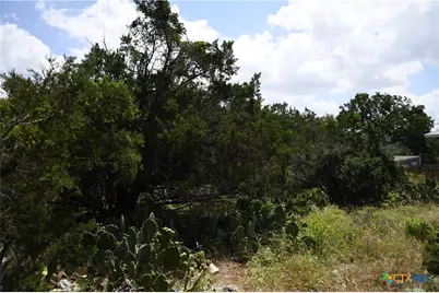 1318 Hidden Valley Drive, Spring Branch, TX 78070 - Photo 17