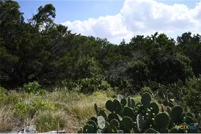 1318 Hidden Valley Drive, Spring Branch, TX 78070 - Photo 3