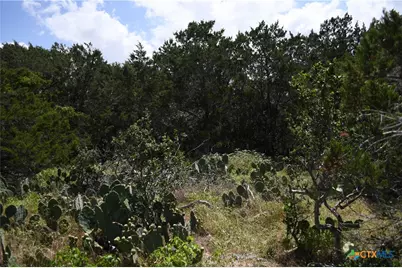 1318 Hidden Valley Drive, Spring Branch, TX 78070 - Photo 9