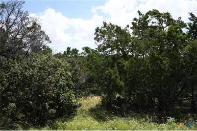 1318 Hidden Valley Drive, Spring Branch, TX 78070 - Photo 1