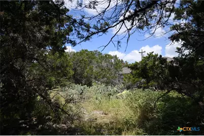1318 Hidden Valley Drive, Spring Branch, TX 78070 - Photo 7