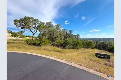 233 Enigma Avenue, Spring Branch, TX 78070 - Photo 21