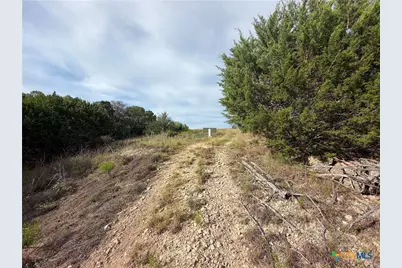 233 Enigma Avenue, Spring Branch, TX 78070 - Photo 11