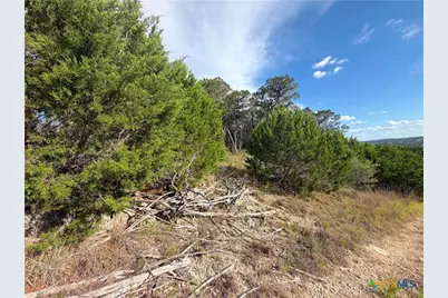 233 Enigma Avenue, Spring Branch, TX 78070 - Photo 9